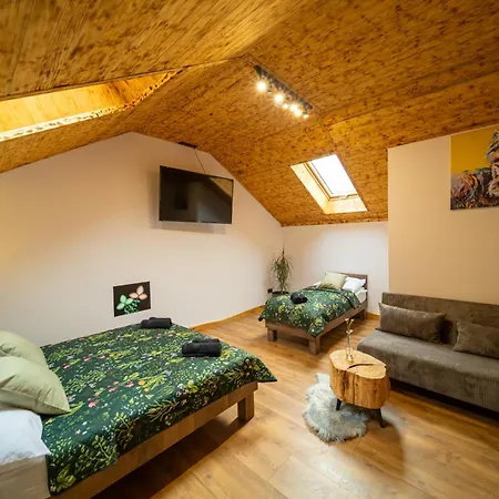 ファームステイ Czarni Gorale Barcice